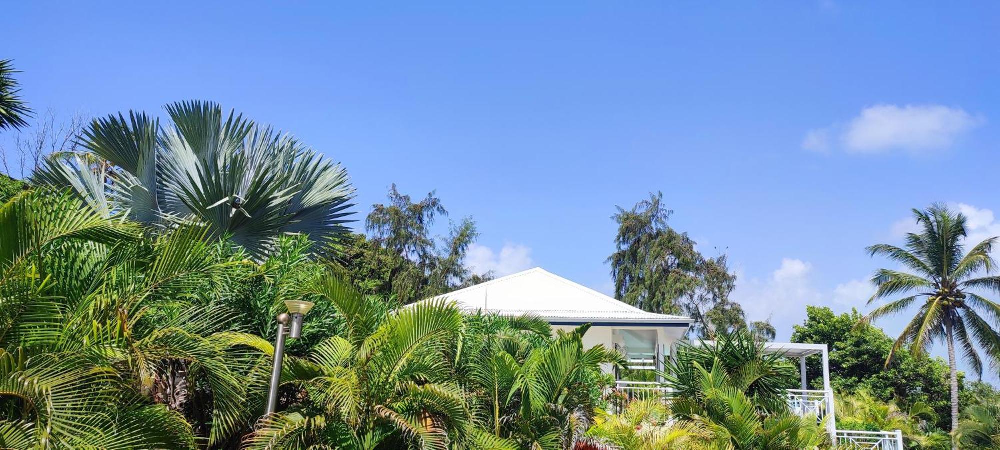 Villa Muscade Guadeloupe, Piscine, Vue Mer Et Acces Plage Saint-Francois  Luaran gambar
